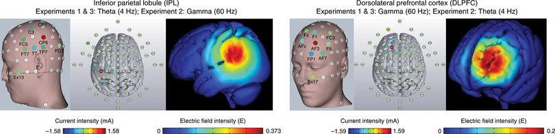 脳への電気刺激が高齢者の記憶力を向上させる実験結果。短時間の刺激で1か月持続