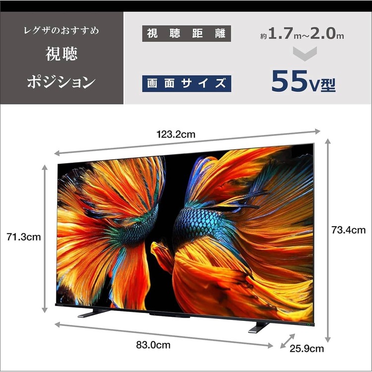 REGZAの4K液晶テレビが約4割引、55v型が8万9800円 / 65v型が10万4800円に。Amazon新生活セール #てくのじDeals