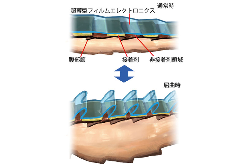 ソーラー充電式サイボーグゴキブリの開発に成功。遠隔操作で監視や生存者捜索に活用提案