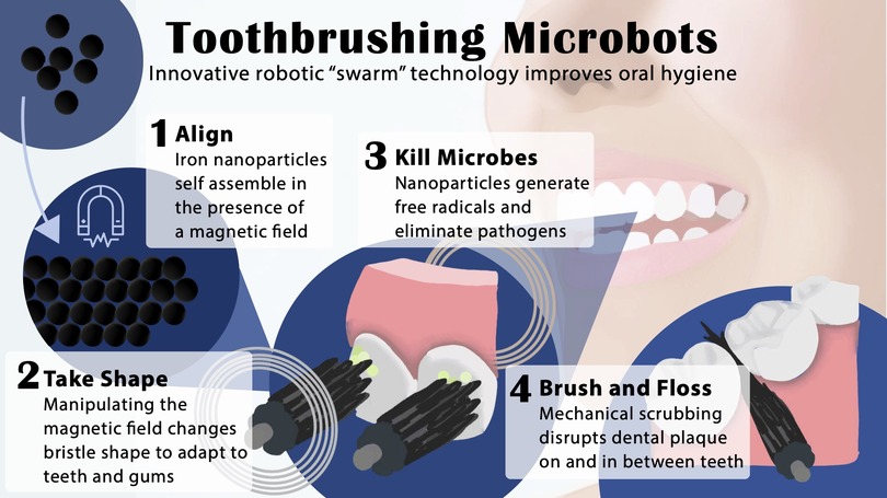 口内で歯ブラシに変形する自己組織化群体マイクロロボ、米大学が発表。歯間掃除や殺菌も