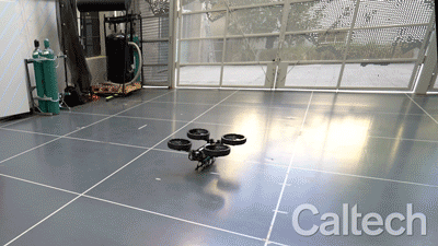飛行・四輪走行・直立二足歩行…8つの形態に変形するロボット「M4」。Caltech研究者らが開発