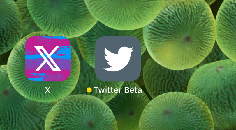 Twitterのアイコンも鳥から「𝕏」へ。アプリ表示名もX、名実ともにツイッター消滅