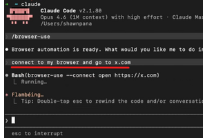 AIエージェントがコマンドラインでブラウザを自動操作。「Browser Use CLI 2.0」リリース。Chrome DevTools接続などで操作が倍速に 画像