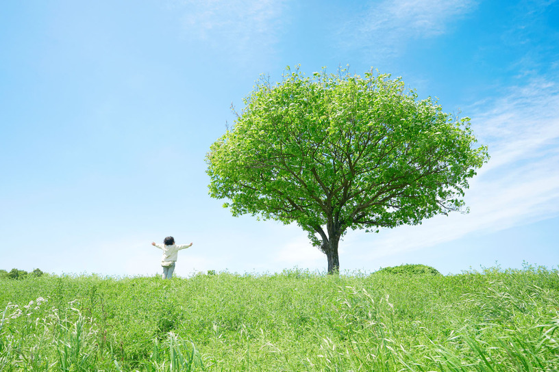 森林が気候変動で「呼吸困難」に？　温暖化と乾燥ストレスで逆にCO2放出する現象増加、崩れるバランス 画像