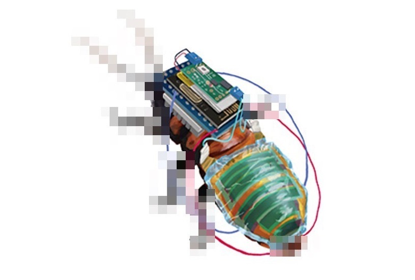 ソーラー充電式サイボーグゴキブリの開発に成功。遠隔操作で監視や生存者捜索に活用提案 画像