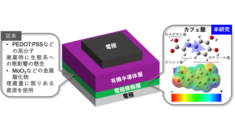 半導体もコーヒーでやる気。「カフェ酸」が有機半導体の電流量を最大100倍にする研究結果 画像