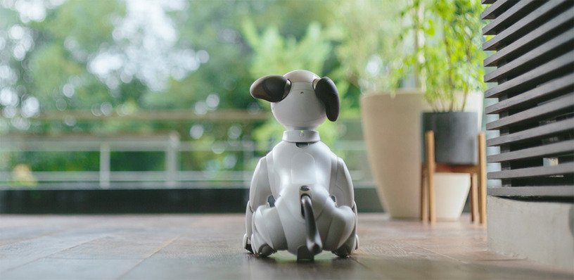 ソニー「aiboの里親プログラム」を開始。役目終えたロボット犬を医療・介護施設で役立てる引き取り制度 画像