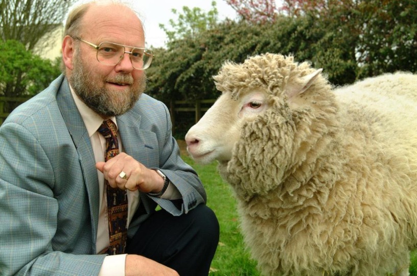 「クローン羊のドリー」作り出した発生学者イアン・ウィルムット氏が79歳で死去。 画像