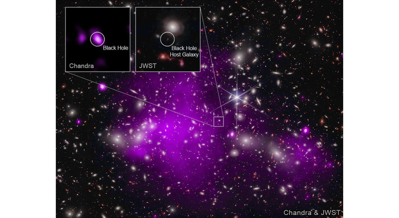 X-ray: NASA/CXC/SAO/Ákos Bogdán; Infrared: NASA/ESA/CSA/STScI; Image Processing: NASA/CXC/SAO/L. Frattare & K. Arcand