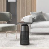 エルジー 空気清浄機 LG PuriCare AeroFurniture 15249.jpg