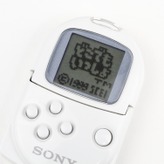 ポケットステーションとソフト 19754.jpg