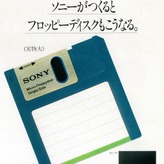 91.jpg