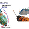 ソーラー充電式サイボーグゴキブリの開発に成功。遠隔操作で監視や生存者捜索に活用提案