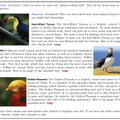 Pythonのように書けてGPU上で並列処理できる新プログラミング言語「Bend」、2D画像→3Dを高精度生成するGoogle「CAT3D」など重要論文5本を解説（生成AIウィークリー）