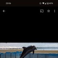 Google Pixel 8a レビュー。期待に応える高コスパモデル、最大競合はPixel 8