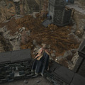 エルデンリングDLC『SHADOW OF THE ERDTREE』レビュー。美しくも恐ろしい、狭間の地の別側面(ネタバレなし)