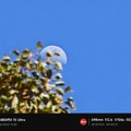 Xiaomi 15 Ultraの2億画素望遠カメラとフォトグラフィキットを試す。ホールド性が大きく向上、目と心に近づいたカメラに