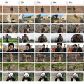 Appleによる新方式の画像生成AI「STARFlow」、Veo 3超えのByteDance最新動画AI「Seedance 1.0」を発表など生成AI技術5つを解説（生成AIウィークリー）