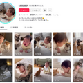 Sora 2で生成の動画、別SNSに“AI素性隠して”大量投稿し再生数荒稼ぎ　ウォーターマークを消すツールとアルトマン氏の著作権への対応（生成AIクローズアップ）