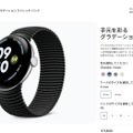 Pixel Watchのバンド、今日はどれでいく？　純正・サードパーティの構造別お買い物ガイド（Google Tales）