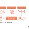 シャープ初スマートウォッチ「からだメイト Watch」発表、着けるだけで摂取カロリー推定のHEALBE FLOW採用　初のスマートリングも