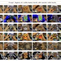 動画生成AI「MiniMax-H3」のComfyUI向け軽量版が登場、少ないVRAMでも動作、スマホ完結でサクサク動く軽量AIエージェント「LFM2.5-2.6B」など生成AI技術5つを解説（生成AIウィークリー）