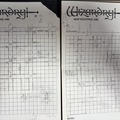 AIで自作した放置型絵文字ローグライク『探犬∞』に一人称視点をつけたらDOOMライクになった（CloseBox）