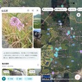 避暑地で新しいPixelたちといっしょ。Pixel 11 Pro/Pro Fold & Pixel Watch 5とGemini Intelligenceのコンビっぷり（Google Tales）