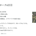 動画AI使ってほぼ実写に。自宅のロードバイクでブロードウェイや石神井公園を走るソフトを自作した（CloseBox）