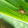 sweeming YOUNG / Adobe Stock