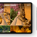 Image:Apple