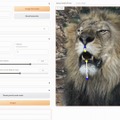 1枚の静止画から動画作成する「AnimateDiff」、Googleの画像学習改良版「HyperDreamBooth」など5本の重要論文を解説（生成AIウィークリー）