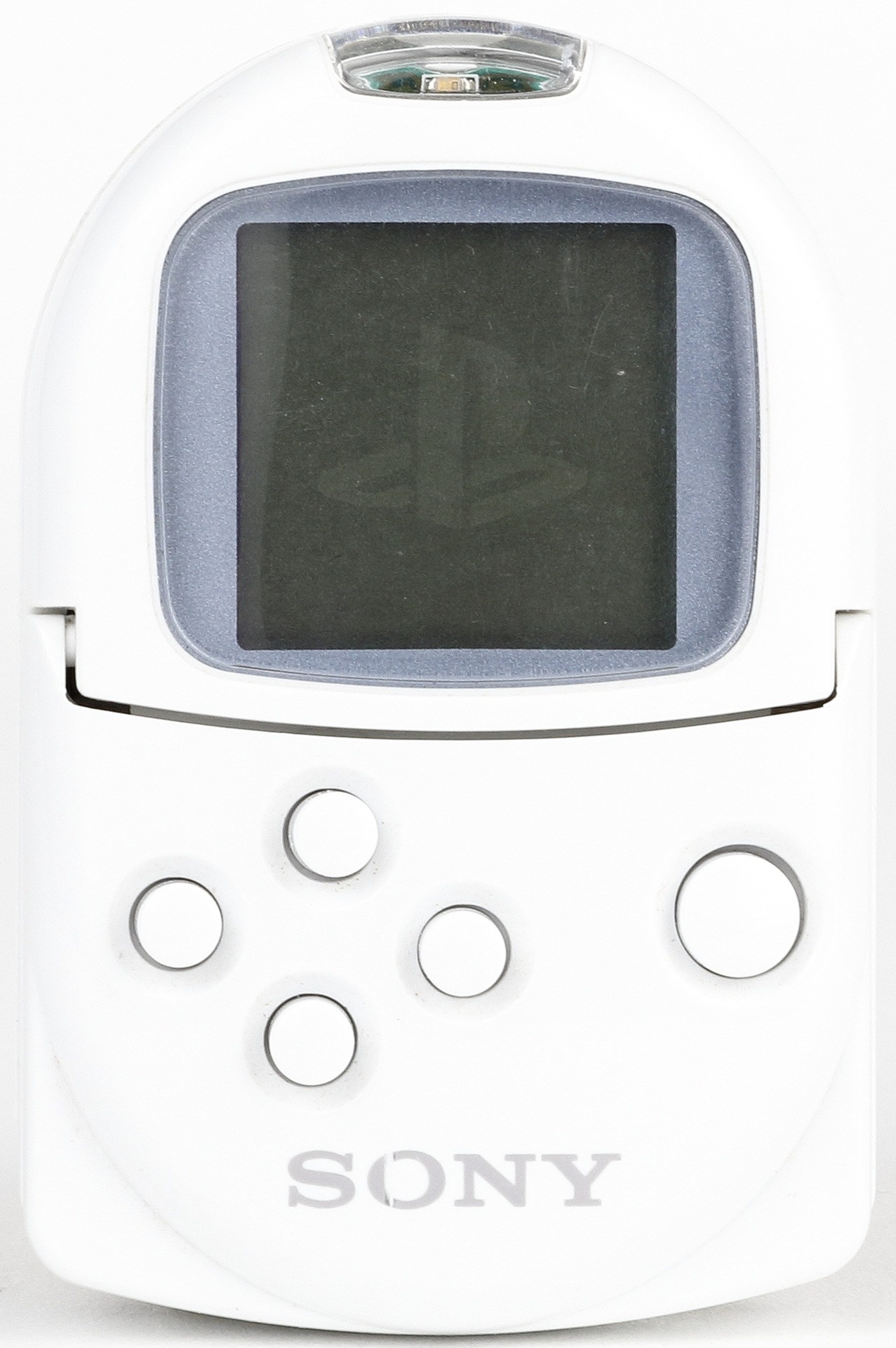 19755.jpg