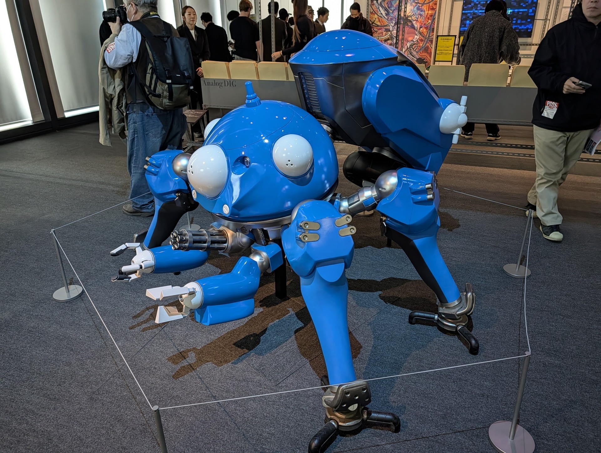 29801.jpg