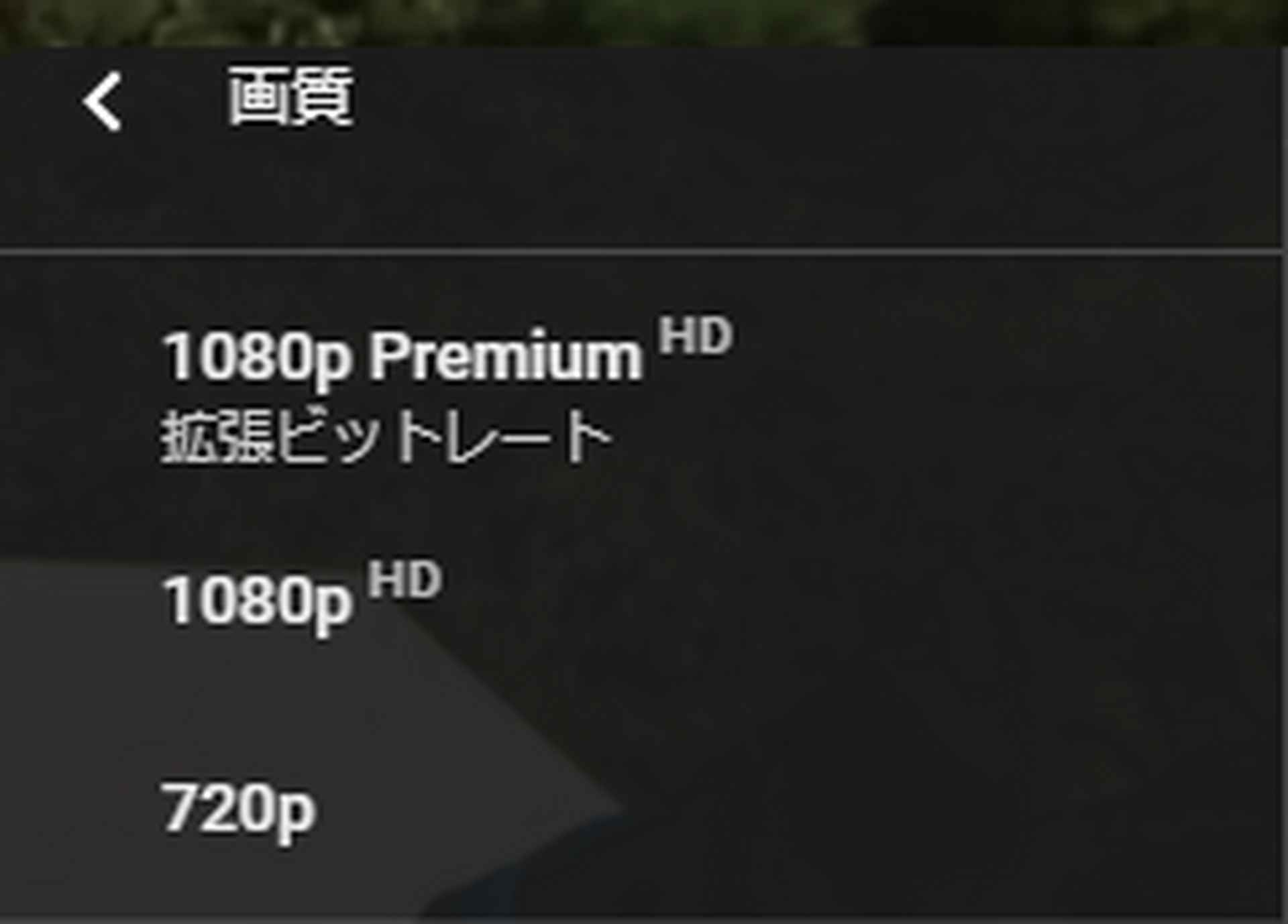 YouTubeプレミアム加入者限定の高画質設定「1080p Premium」、デスクトップでも利用可能に | テクノエッジ TechnoEdge