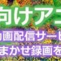 今期は豊作！REGZAのアニメ伝道師に訊く今期おすすめ作品 2023年秋 (片岡秀夫)