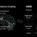 謎の超小型AI「HRM」、たった2700万パラメータで巨大なOpenAI o3やClaude 3.7を蹴散らす（生成AIクローズアップ）