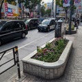 Pixel 10 ProのAI機能を実機でチェック。超解像ズームは驚きのレベルだが、本当に写真なのかという疑問も（石野純也）