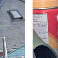 Pixel 10 ProでAIが自然に溶け込んでいく「新しい日常」はどんな感じ？（Google Tales）
