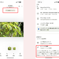 Pixel 10 ProでAIが自然に溶け込んでいく「新しい日常」はどんな感じ？（Google Tales）