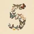 Anthropic、Claude Fable 5の明日復帰を予告。Opus 4.8よりちょい下のSonnet 5はすぐに使える（CloseBox）