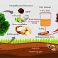 ACS Omega, 2023, DOI: 10.1021/acsomega.2c07797