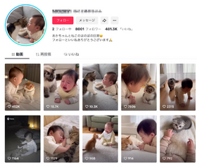 Sora 2で生成の動画、別SNSに“AI素性隠して”大量投稿し再生数荒稼ぎ　ウォーターマークを消すツールとアルトマン氏の著作権への対応（生成AIクローズアップ） 画像