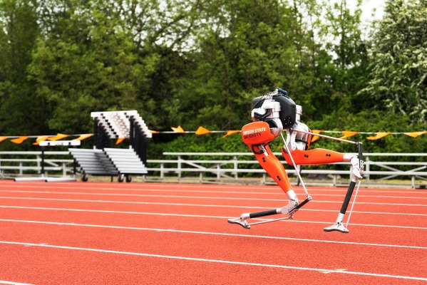 脚だけロボット「Cassie」が100m走でギネス記録樹立。ただし二脚ロボット部門 画像