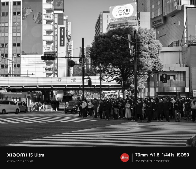 Xiaomi 15 Ultraの2億画素望遠カメラとフォトグラフィキットを試す。ホールド性が大きく向上、目と心に近づいたカメラに