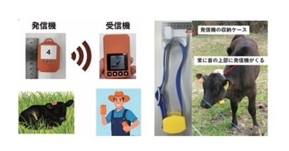 放牧牛のスマートな管理に、ココヘリの技術を応用
