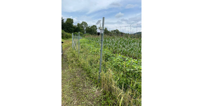 月額3,850円～、10分で導入可能！電源不要なAIカメラでクマ被害を未然に防ぐ自治体向けシステム「クマミるAI」をリリース