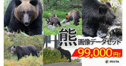 PIXTA、機械学習用「熊画像データセット」販売開始