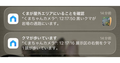 TP-Link、AIアシスタント「Tapo AI」を日本市場へ導入準備開始